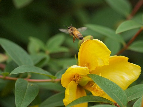 c0077531_22593561.jpg