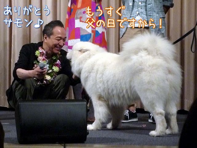 映画 『犬飼さんちの犬』 完成披露試写会 : サモエド クローカのお気楽日記