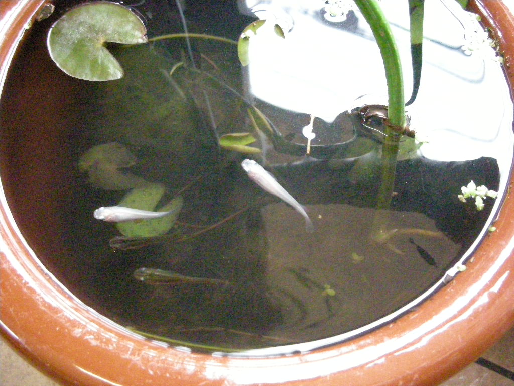 なぜ???_a0156636_1223222.jpg