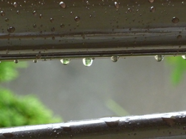 b0169238_20521530.jpg