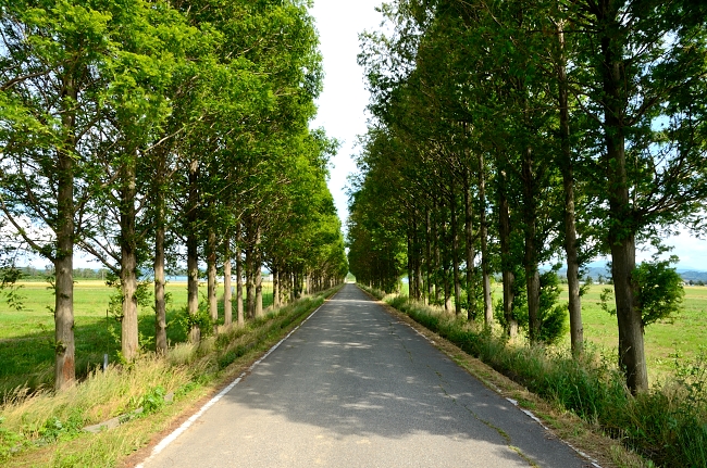 e0055138_2129411.jpg