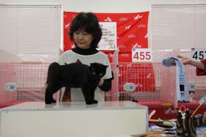 2011年６月４－５日　TICA =AJC CATSHOW 模様＆２０１１年１０月１５－１６日審査員予定_f0168339_2323423.jpg