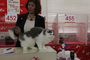 2011年６月４－５日　TICA =AJC CATSHOW 模様＆２０１１年１０月１５－１６日審査員予定_f0168339_23312536.jpg