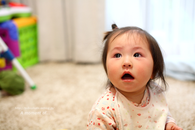 d0143741_092825.jpg