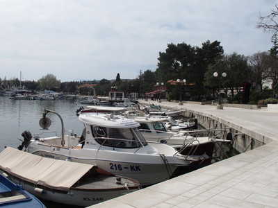 d0167041_06369.jpg