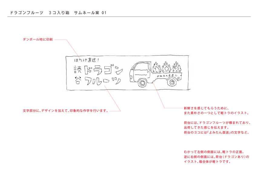 読谷産ドラゴンフルーツの箱_c0191542_13344090.jpg