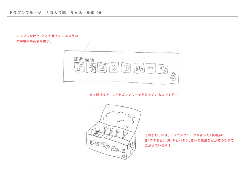 読谷産ドラゴンフルーツの箱_c0191542_13345532.jpg
