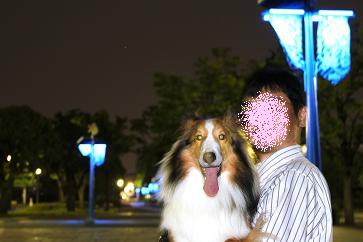 夜の等々力緑地へ行きました♪_e0195743_3493250.jpg