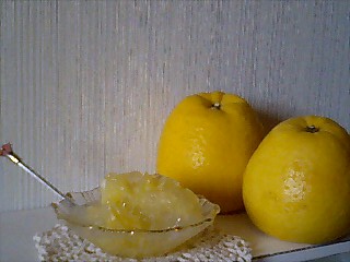 a0115346_20254729.jpg
