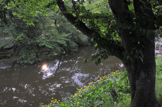 健民公園(2)_c0093046_772659.jpg