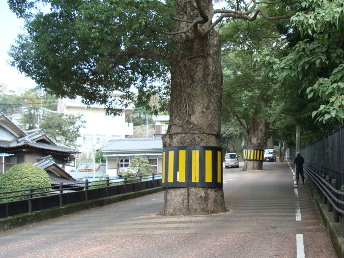 b0181748_141137.jpg