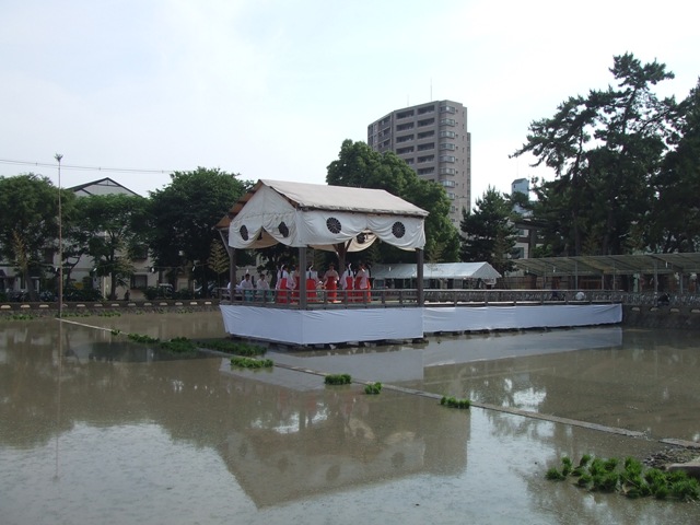 Rice Planting Ritual, 2011 _e0046748_1882748.jpg