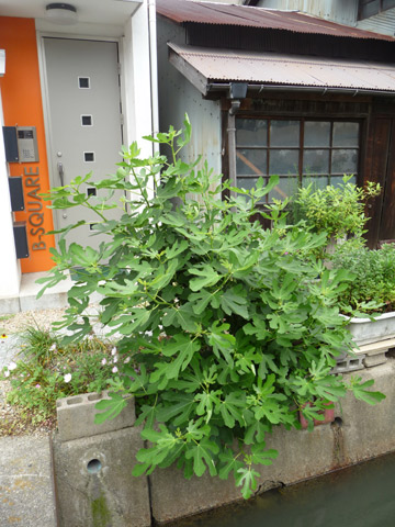 c0221349_16372912.jpg