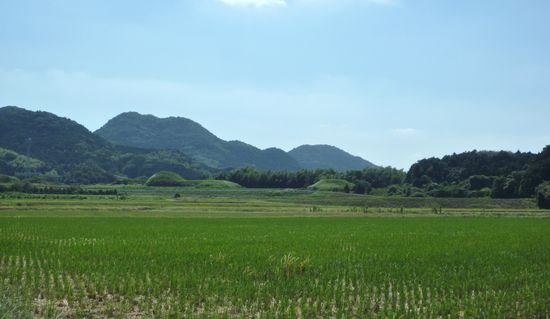 c0222861_2029365.jpg