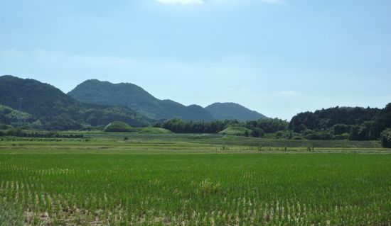 新原・奴山古墳群_c0222861_2029365.jpg