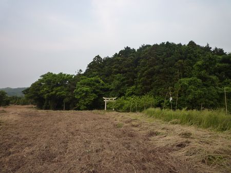 c0222861_20304649.jpg