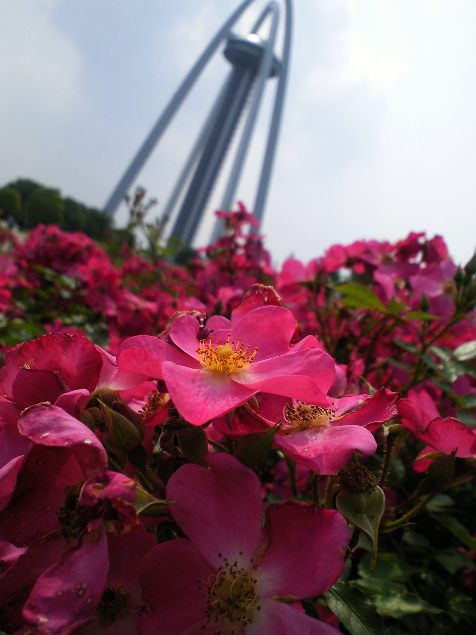 e0223862_11574149.jpg