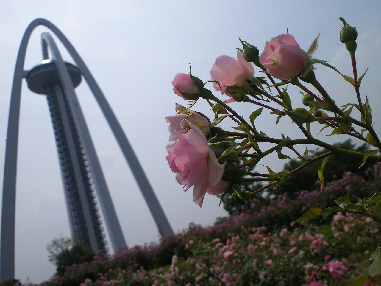 e0223862_1218379.jpg