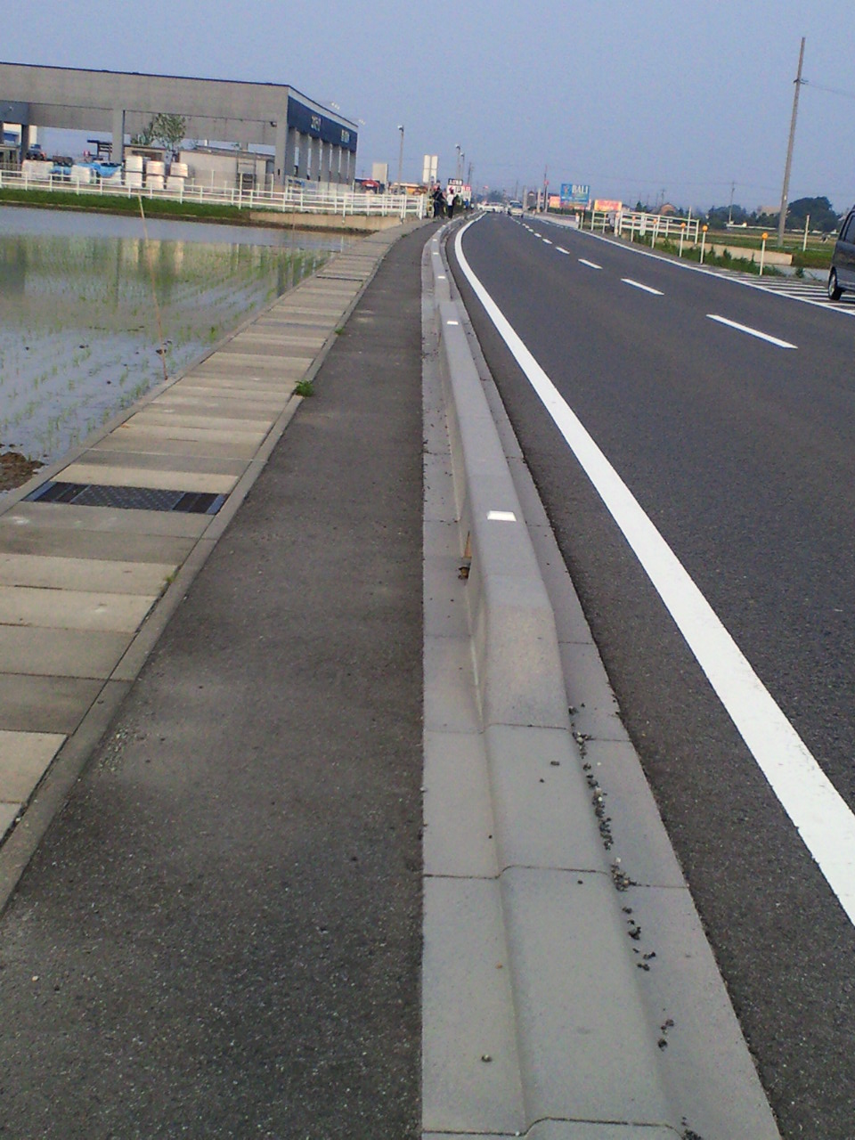 e0223862_128362.jpg