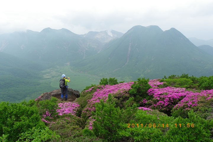 ミヤマキリシマ咲く平治岳_f0016066_23254743.jpg