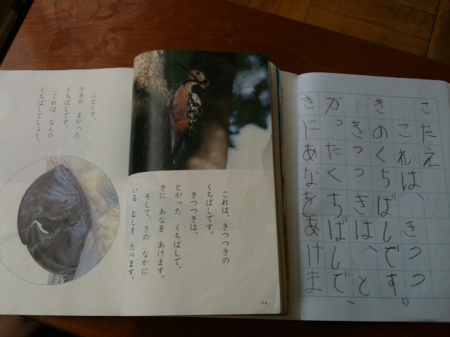 国語の授業と学活 Today S Tsc 国語の授業と学活 Today S Tsc