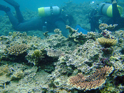 b0033573_19272374.jpg