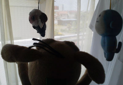 c0158573_11827.jpg