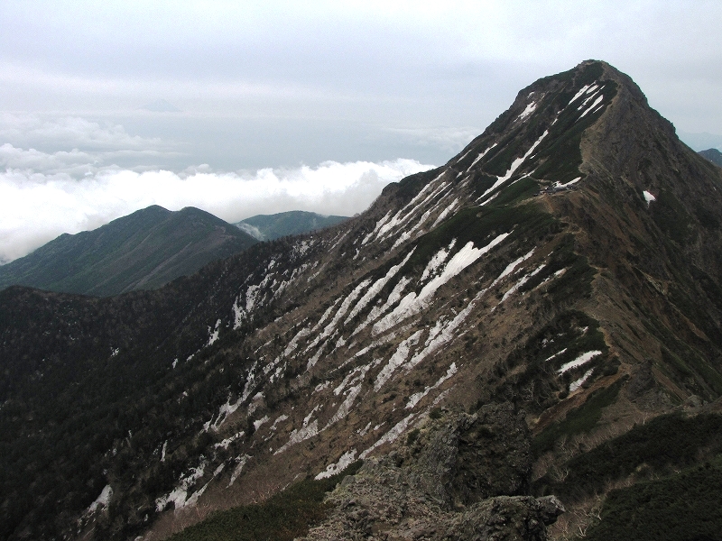 6月11日（土）～12日（日）　八ヶ岳（横岳）♪_a0191674_14151565.jpg