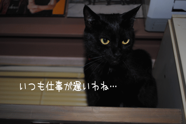 d0156981_1713452.gif