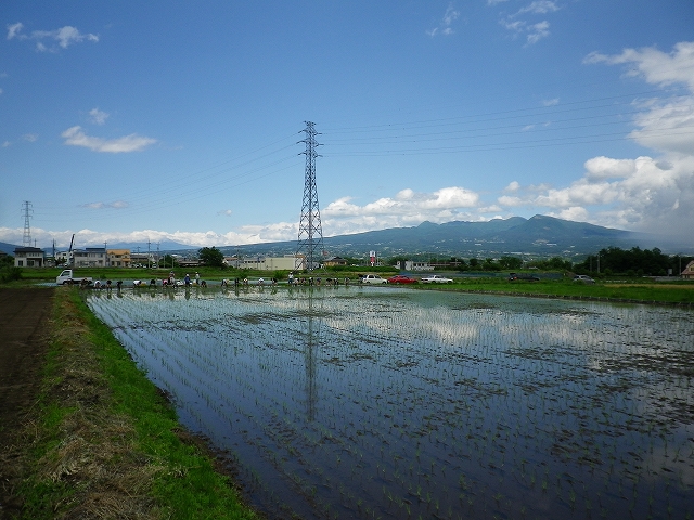 金魚？コメット購入_c0212083_23334263.jpg