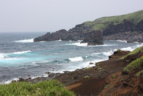 富賀浜_c0204385_2323417.jpg