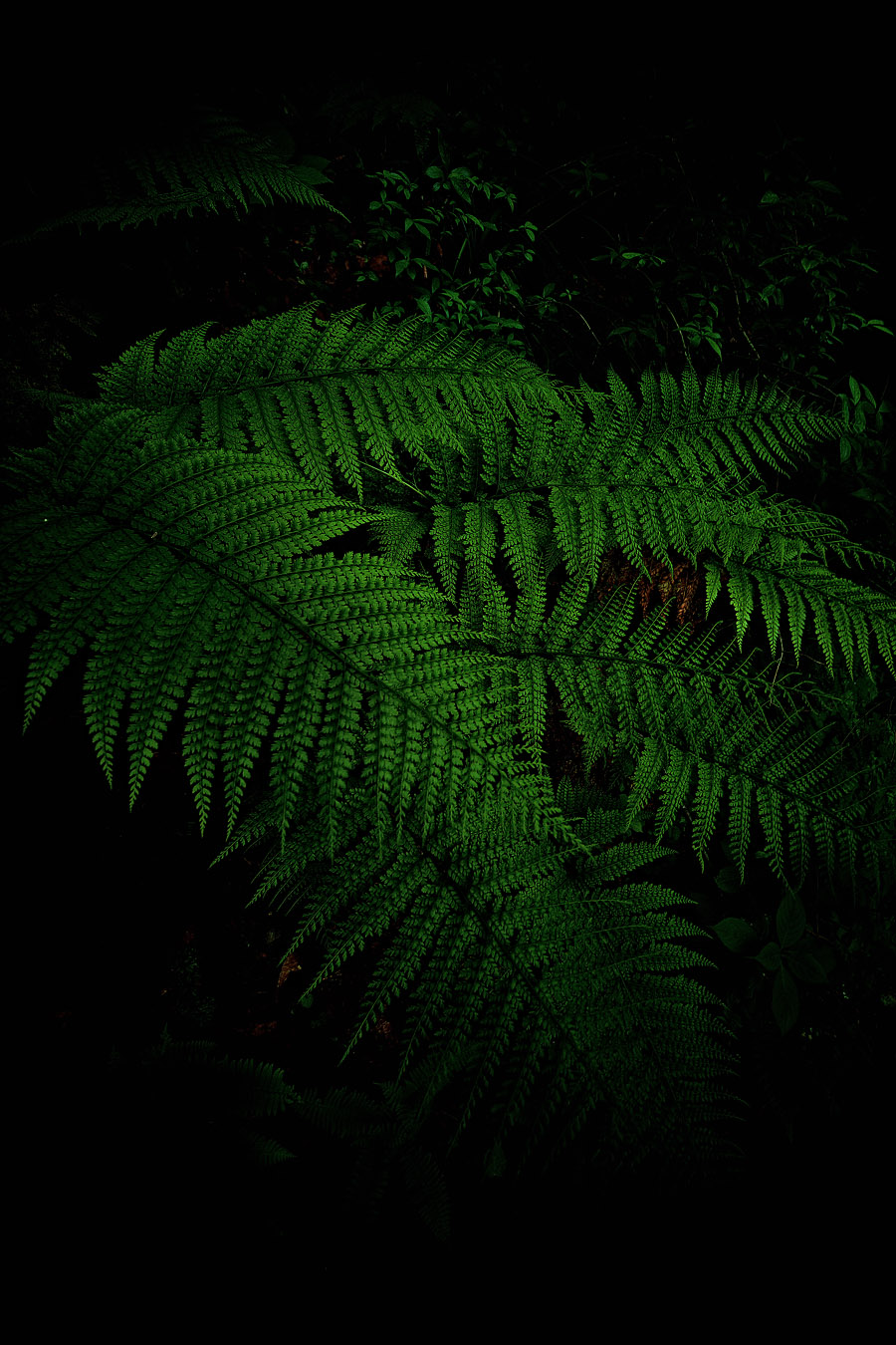 a0141586_20134140.jpg