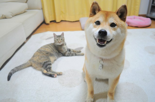 みなさん、ありがとう!_a0126590_0383291.jpg