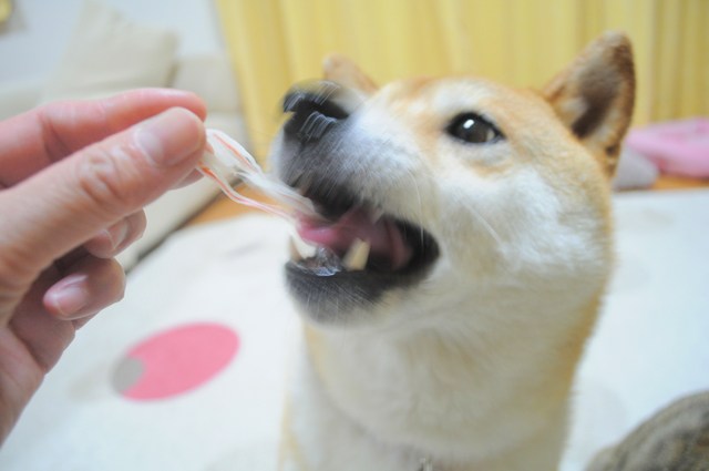 みなさん、ありがとう!_a0126590_0455976.jpg