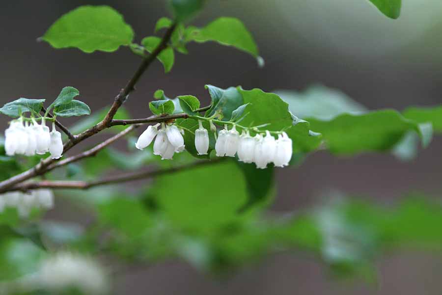 海上の森・・・４_e0108592_22583887.jpg