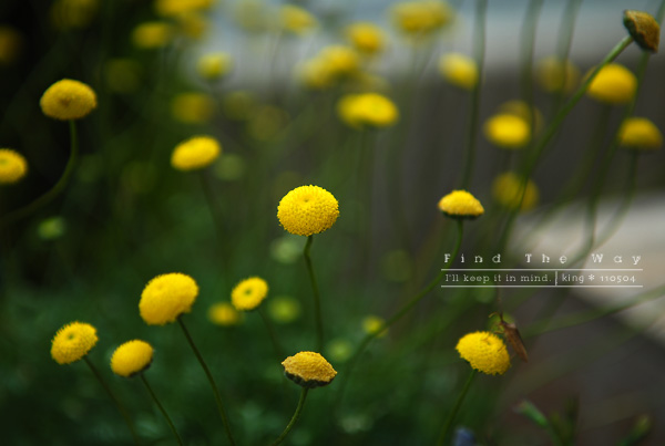 お帰り_f0054594_5522785.jpg