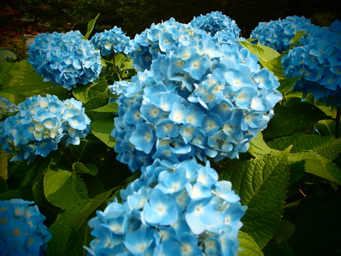 雨の日_c0164996_1727125.jpg