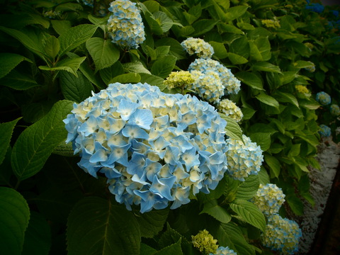 雨の日_c0164996_1728999.jpg