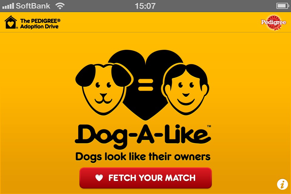 顔写真から似た犬判定できる Iphone Ipad のアプリ Islay And Pals アイラと素敵な仲間達blog Islay The Mutt 顔写真から似た犬判定できる Iphone Ipad のアプリ Islay And Pals アイラと素敵な仲間達blog Islay The Mutt