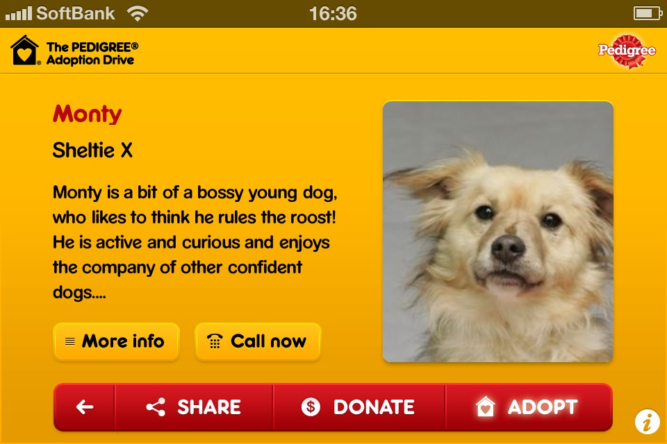 顔写真から似た犬判定できる Iphone Ipad のアプリ Islay And Pals アイラと素敵な仲間達blog Islay The Mutt 顔写真から似た犬判定できる Iphone Ipad のアプリ Islay And Pals アイラと素敵な仲間達blog Islay The Mutt