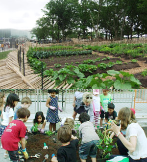 ニューヨークの公園にミニ農園登場!? Urban Farm at Battery Park_b0007805_19373581.jpg