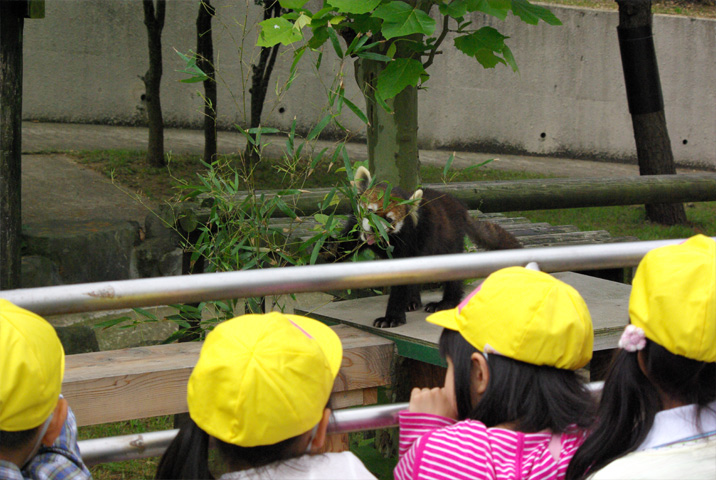 近かったら通っちゃうんだけどなぁ･･･大森山_d0072106_23225081.jpg