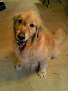 e0072606_12594779.jpg