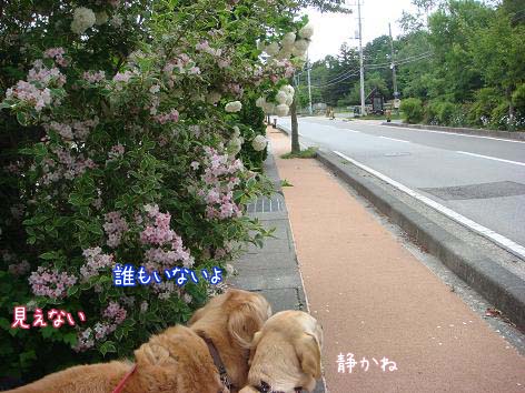 元太絶好調_f0064906_19114295.jpg