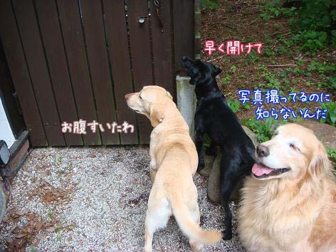 元太絶好調_f0064906_1920217.jpg