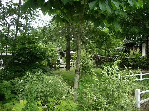 c0190010_2135291.jpg