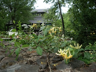 c0190010_21354476.jpg