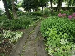 c0190010_2135616.jpg