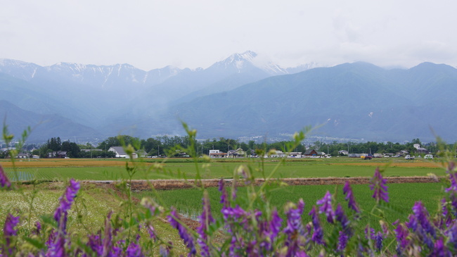 梅雨の晴れ間_f0233414_20214044.jpg