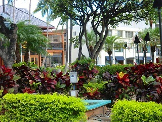 f0170524_19333185.jpg